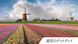 �ʏ�̃f�B�X�v���C