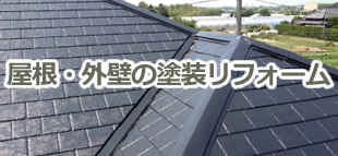 �����E�O�̕Ǔh�����t�H�[��